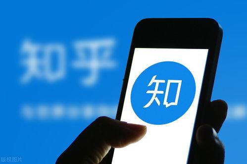 娱乐吃瓜生活小说推荐知乎