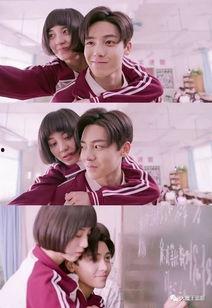娱乐吃瓜的女主,娱乐圈幕后风云录