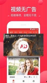 娱乐吃瓜芋泥视频下载安装,芋泥视频下载安装攻略