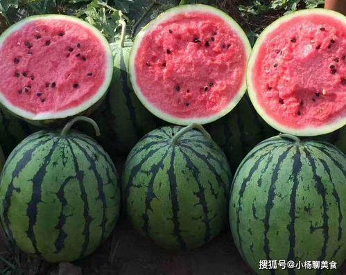 免费吃瓜官网免费,畅享美食盛宴,尽享免费福利!